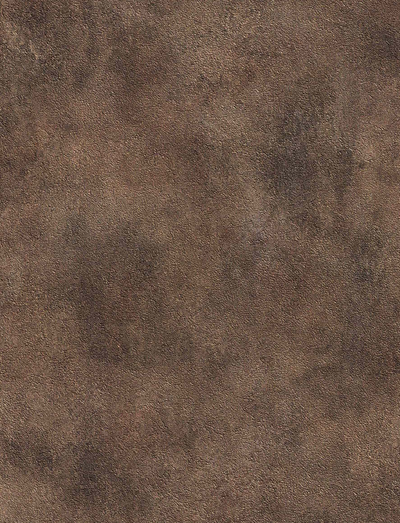 SPC Wandpaneel 280x120 Ancient Copper - Sample
