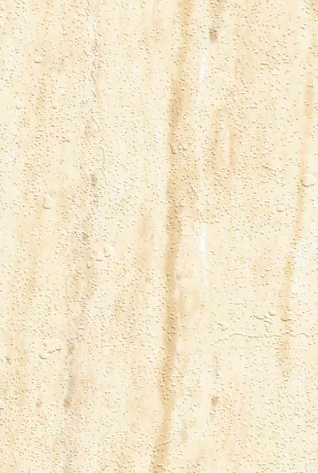 SPC Wandpaneel 280x120 Roman Thermea