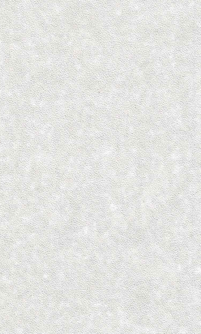 SPC Wandpaneel 280x120 Silver Moonstone -Sample