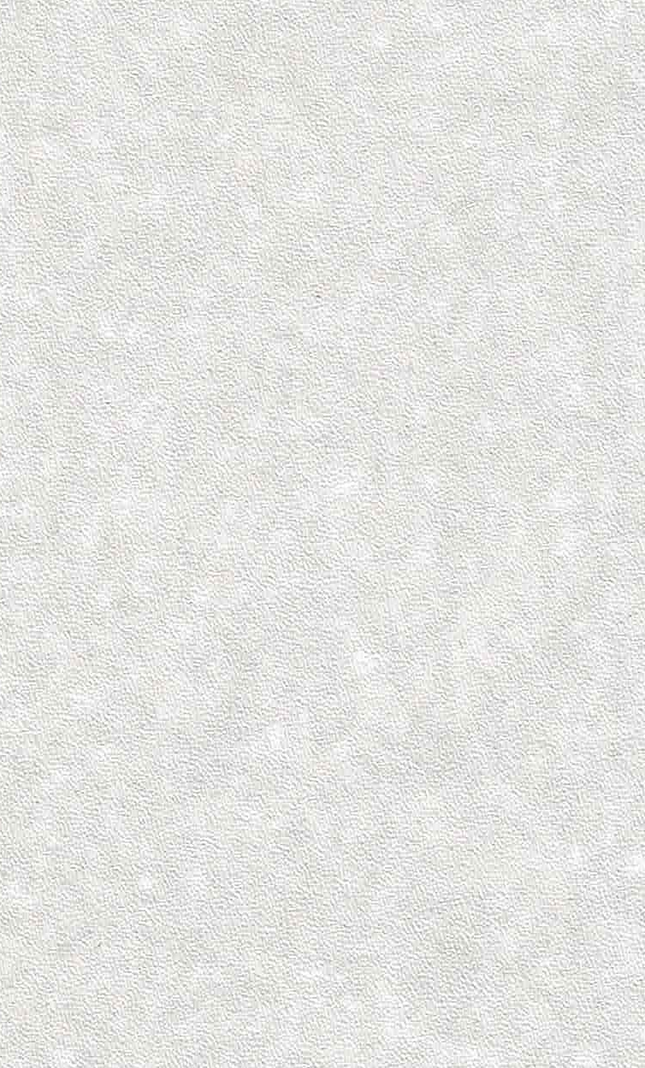 SPC Wandpaneel 280x120 Silver Moonstone -Sample