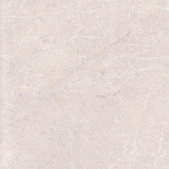 Collection image for: Sample