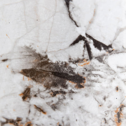 PVC wandpaneel 280x122 Alphine White