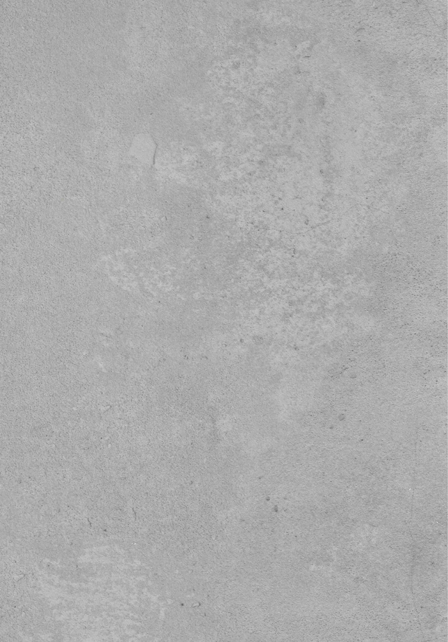SPC wandpaneel 280x120 Concrete grey