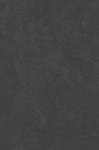 SPC Wandpaneel 280x120 Dark Clay - Sample