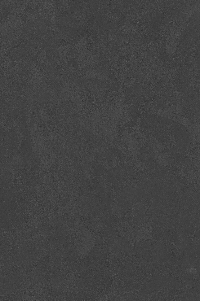 SPC Wandpaneel 280x120 Dark Clay