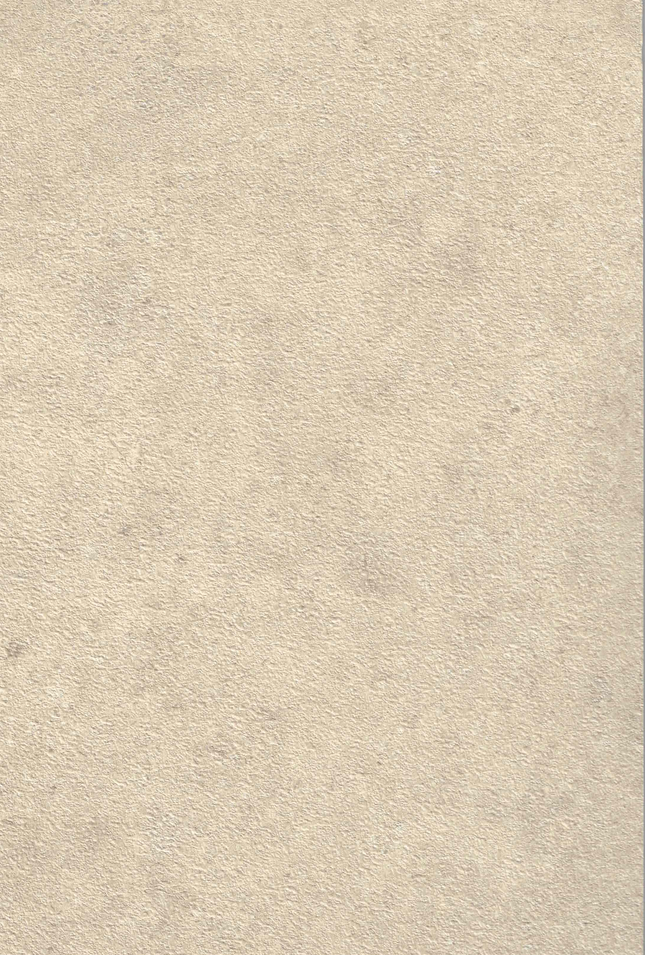 SPC Wandpaneel 280x120 Desert Concrete