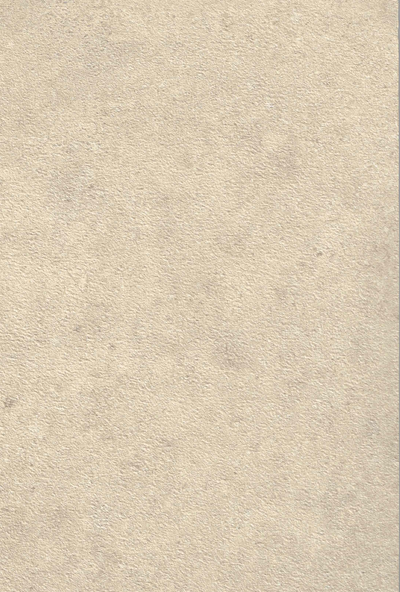 SPC Wandpaneel 280x120 Desert Concrete - Sample