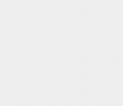 PVC wandpaneel 280x120 Pure Blanc - sample