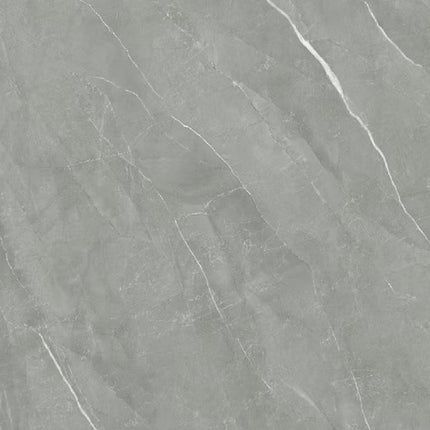 SPC wandpaneel 280x122 Elegant Grey Vein