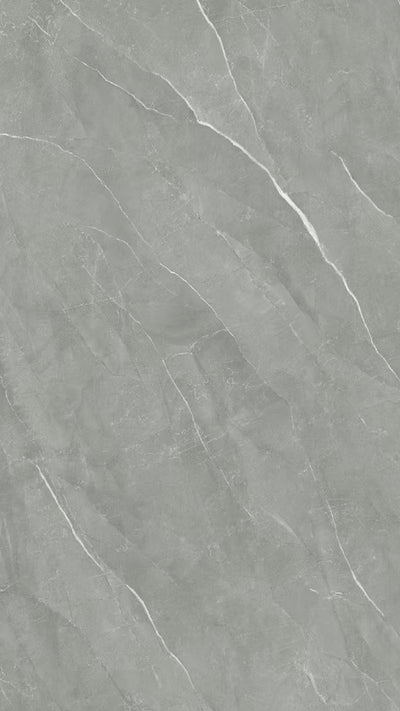 SPC wandpaneel 280x122 Elegant Grey Vein - sample