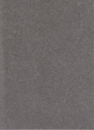 SPC Wandpaneel 280x120 Graphite Stone - Sample