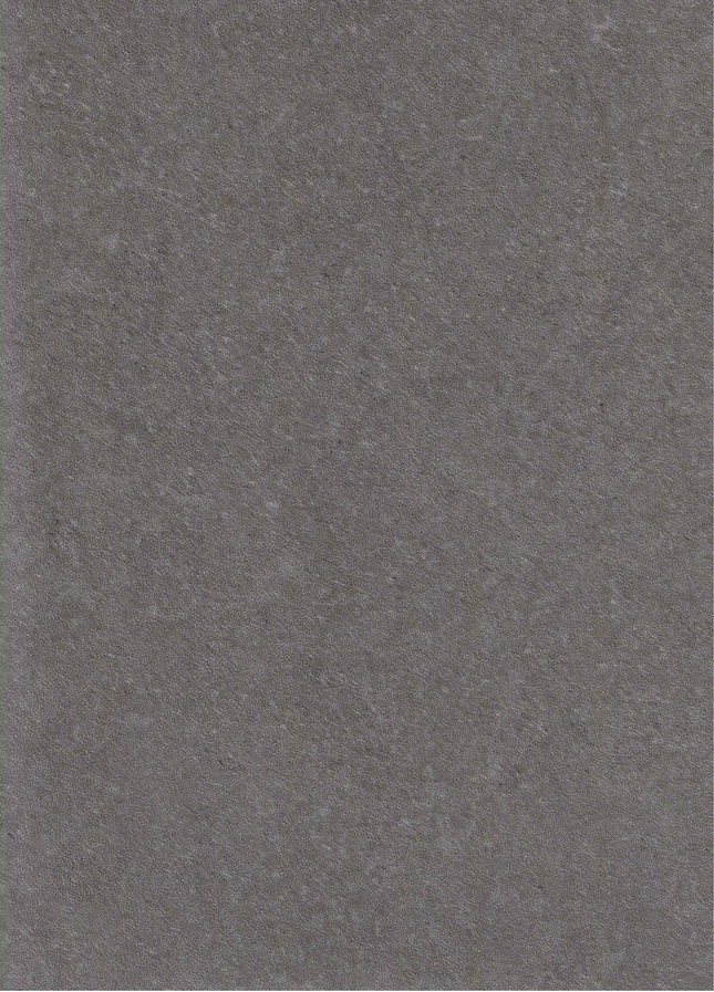 SPC Wandpaneel 280x120 Graphite Stone