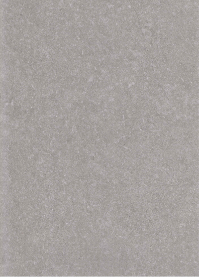 SPC Wandpaneel 280x120 Silver Limestone - Sample
