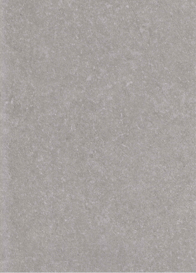 SPC Wandpaneel 280x120 Silver Limestone