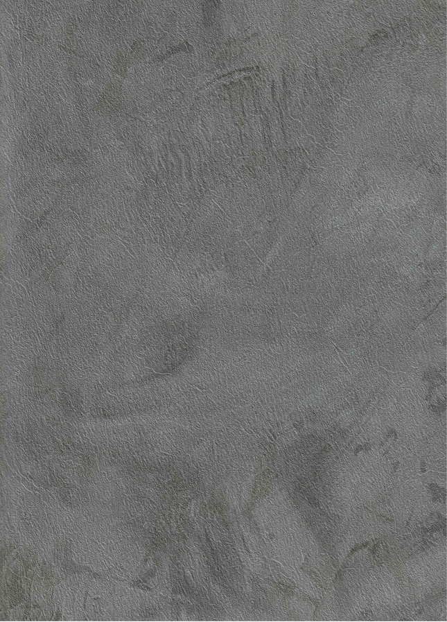 SPC Wandpaneel 280x120 Urban Slate