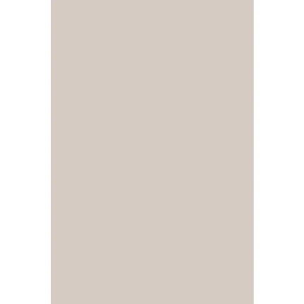 SPC wandpaneel 280x120 Taupe Haze - Sample