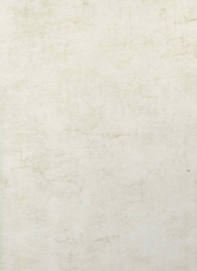 SPC wandpaneel 280x122 Concrete Ivory - Sample