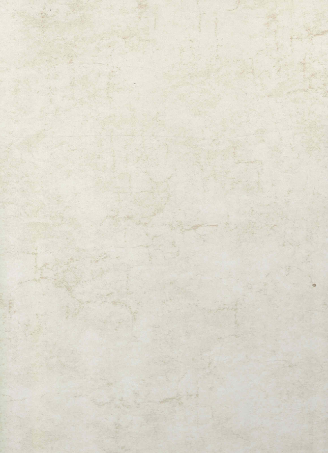 SPC wandpaneel 280x122 Concrete Ivory