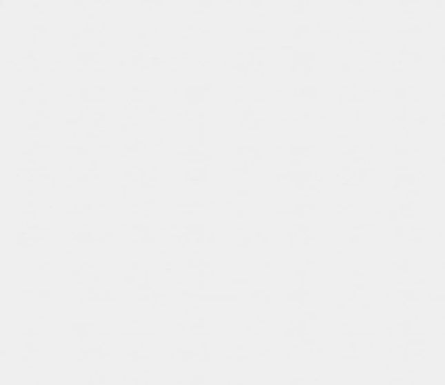 PVC wandpaneel 280x120 Pure Blanc