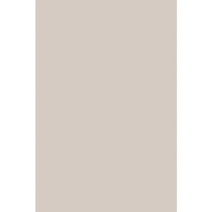 SPC wandpaneel 280x120 Taupe Haze